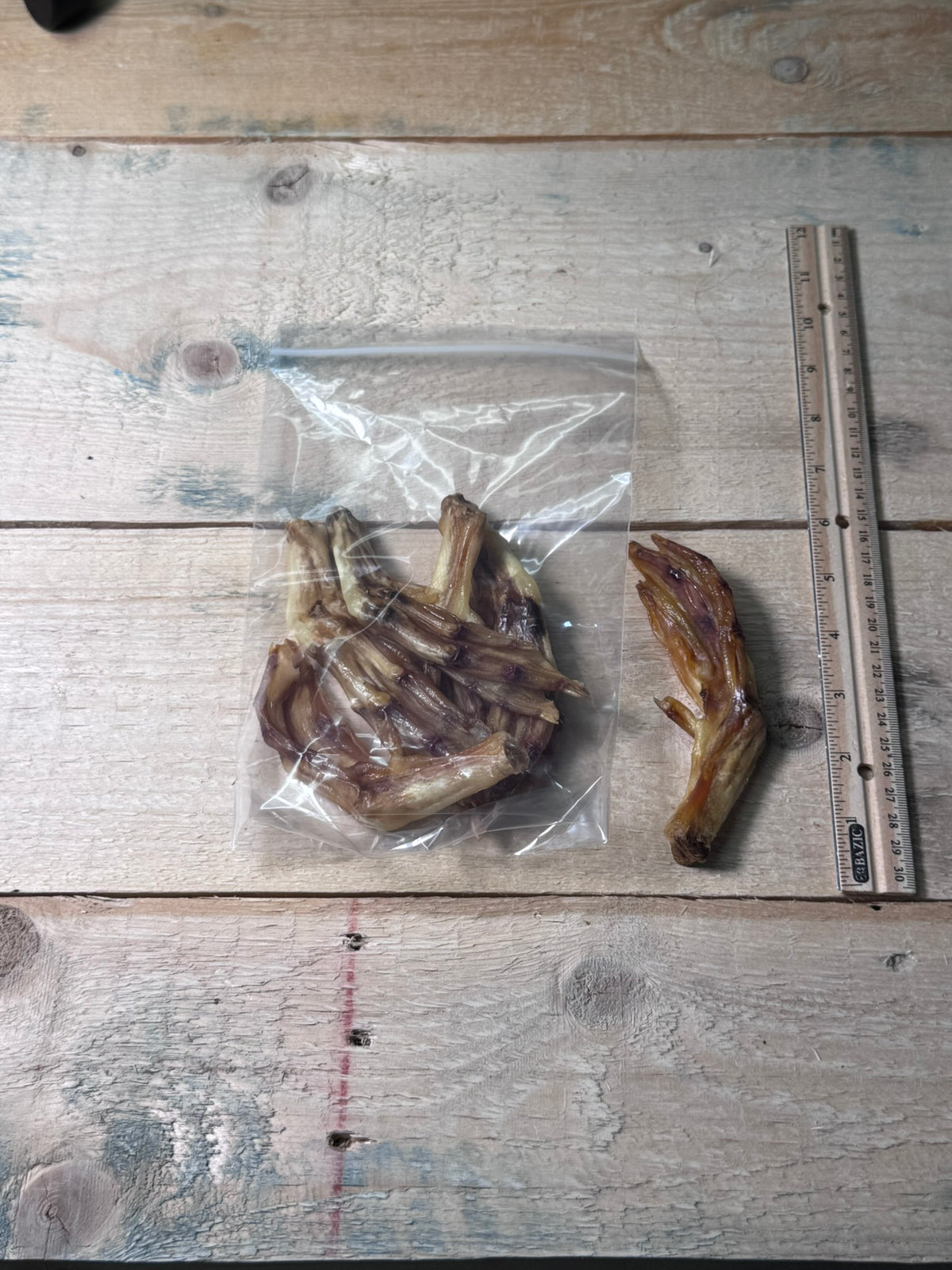 Duck Feet - 5 Pack - Pasture Paws
