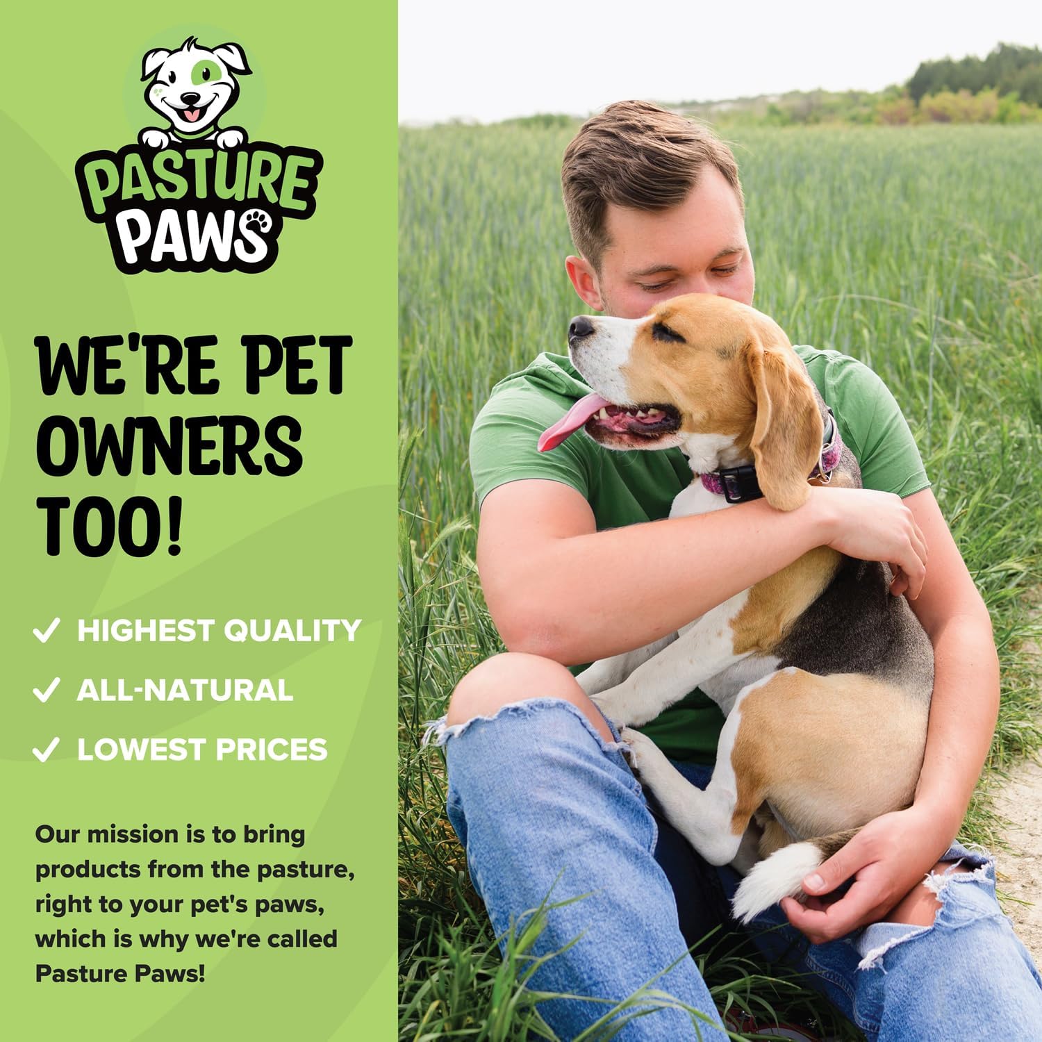 6" Bully Sticks (5 Count)