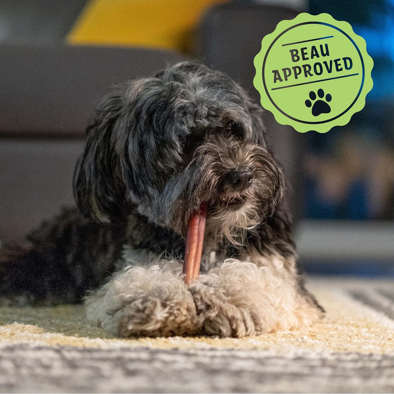 6" Bully Sticks (5 Count)