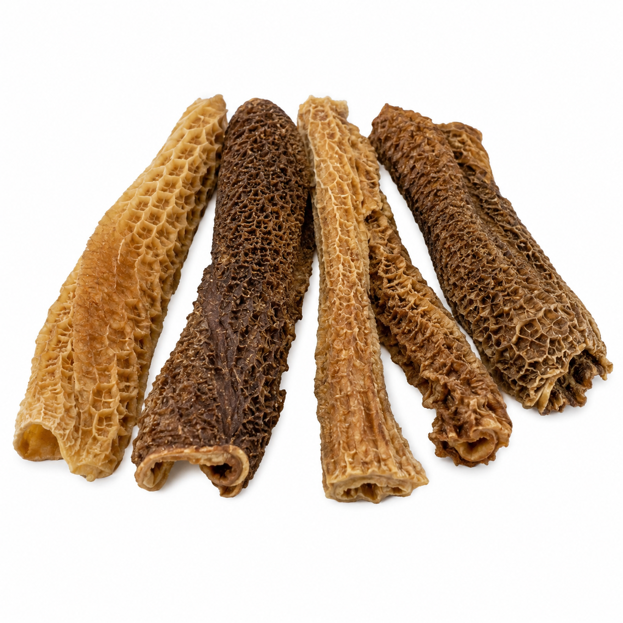 Beef Tripe 10"