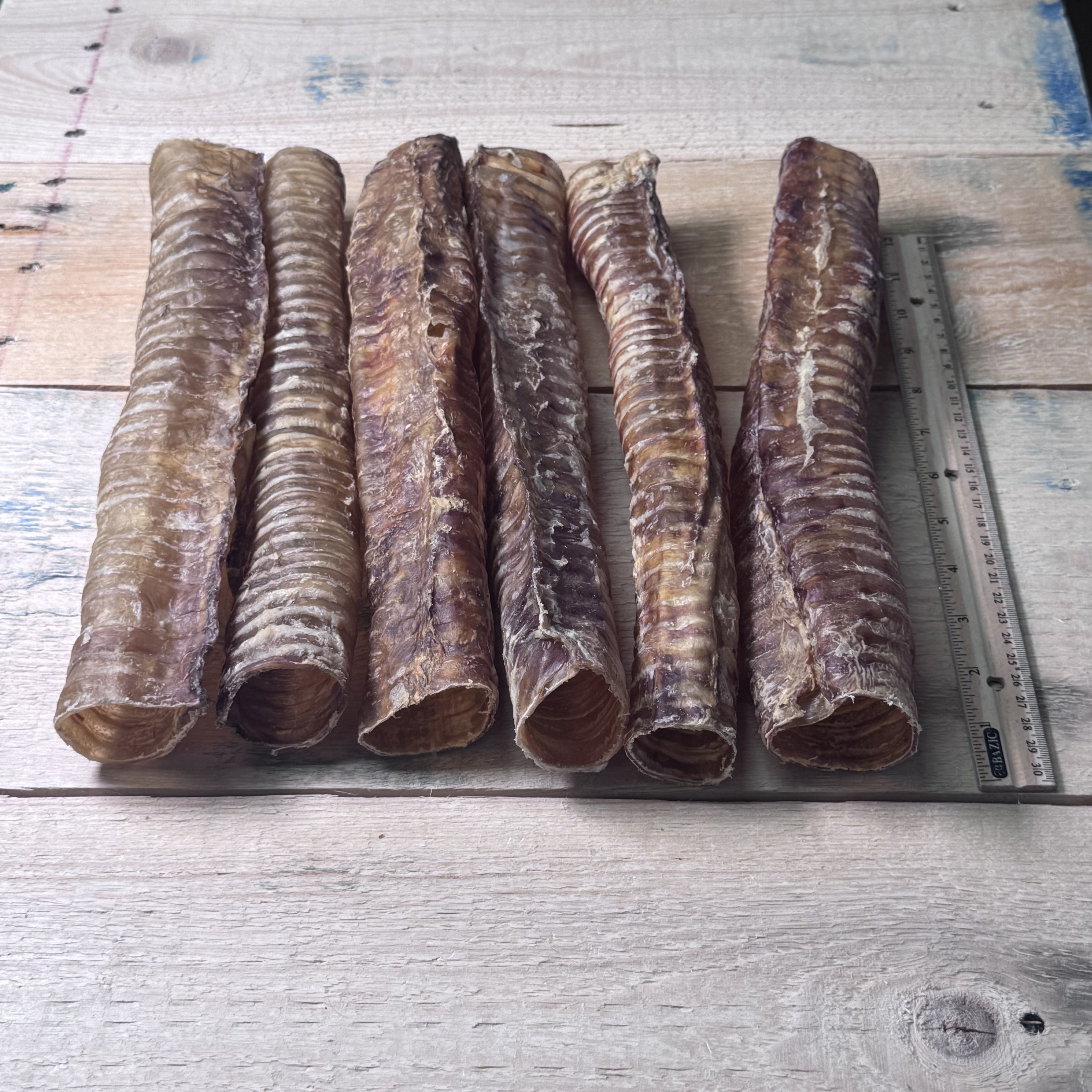 Beef Trachea Large 12" - 6 Pack - Pasture Paws