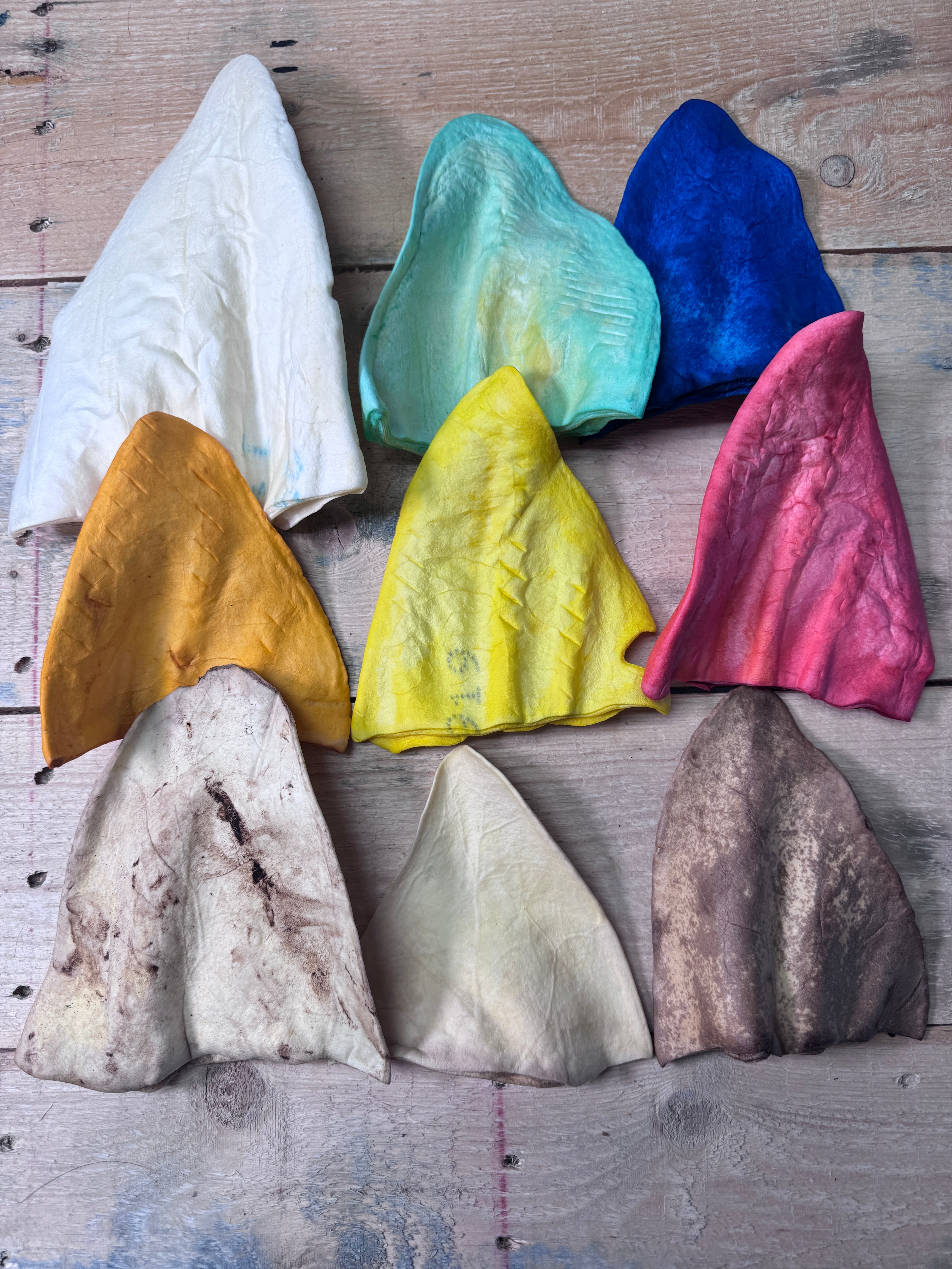 Cow Ear Variety Pack - Pasture Paws