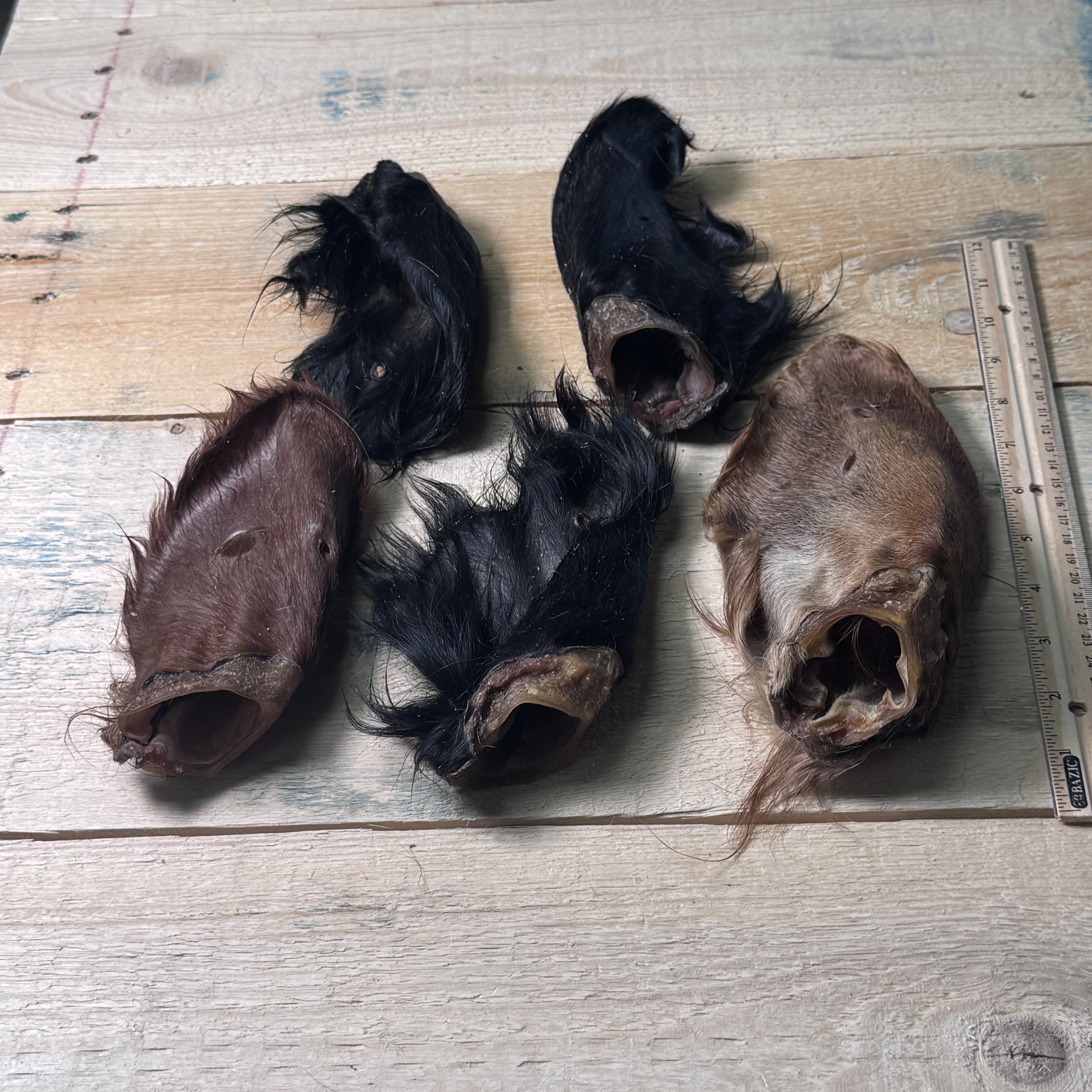 Hairy Cow Ears - 5 Pack - Pasture Paws