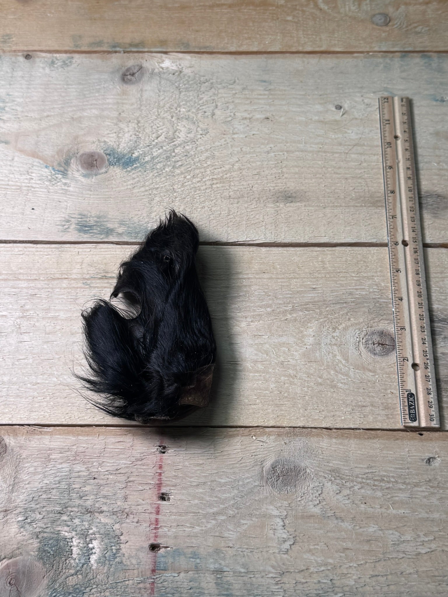 Hairy Cow Ears - Pasture Paws