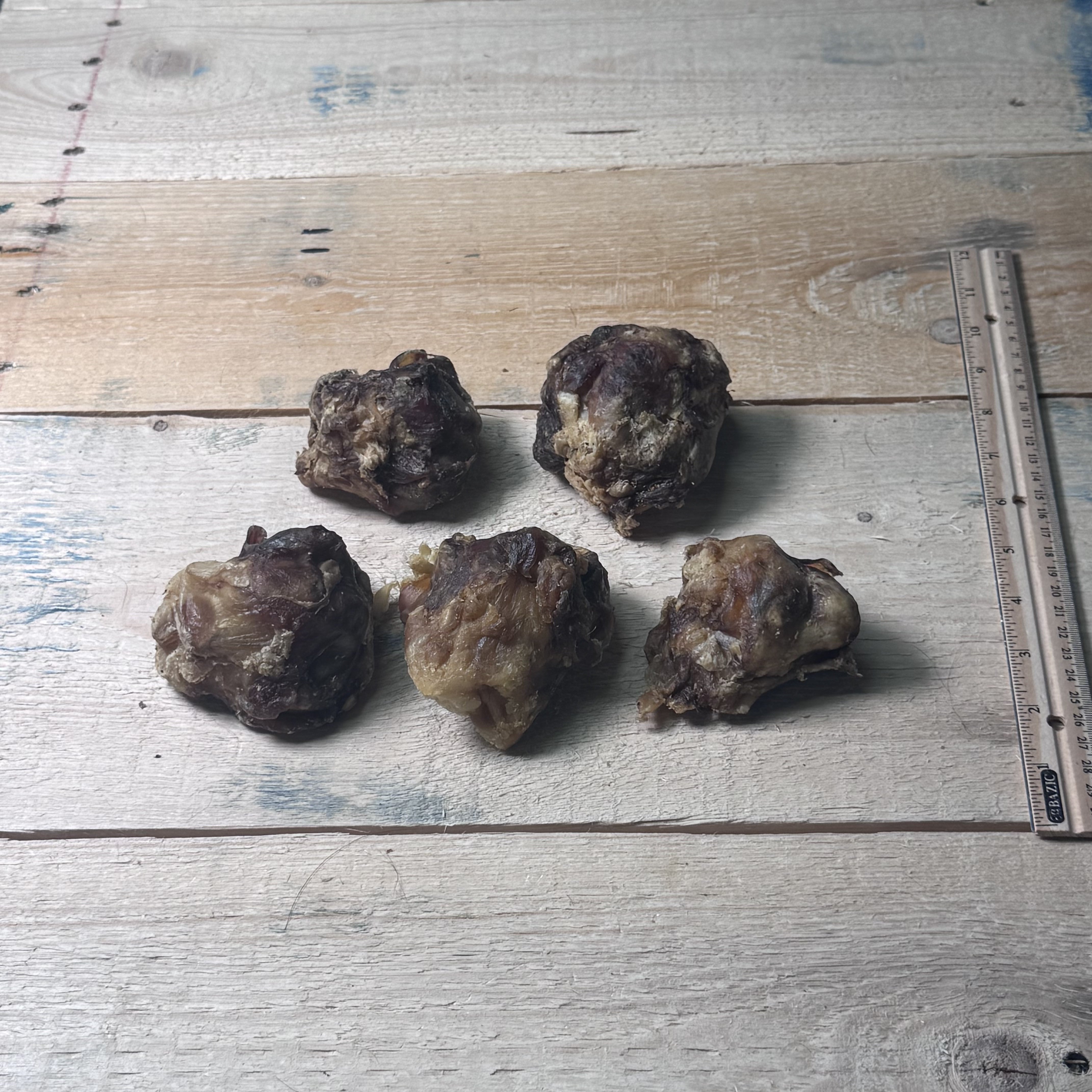 Beef Knee Caps - 5 Pack - Pasture Paws