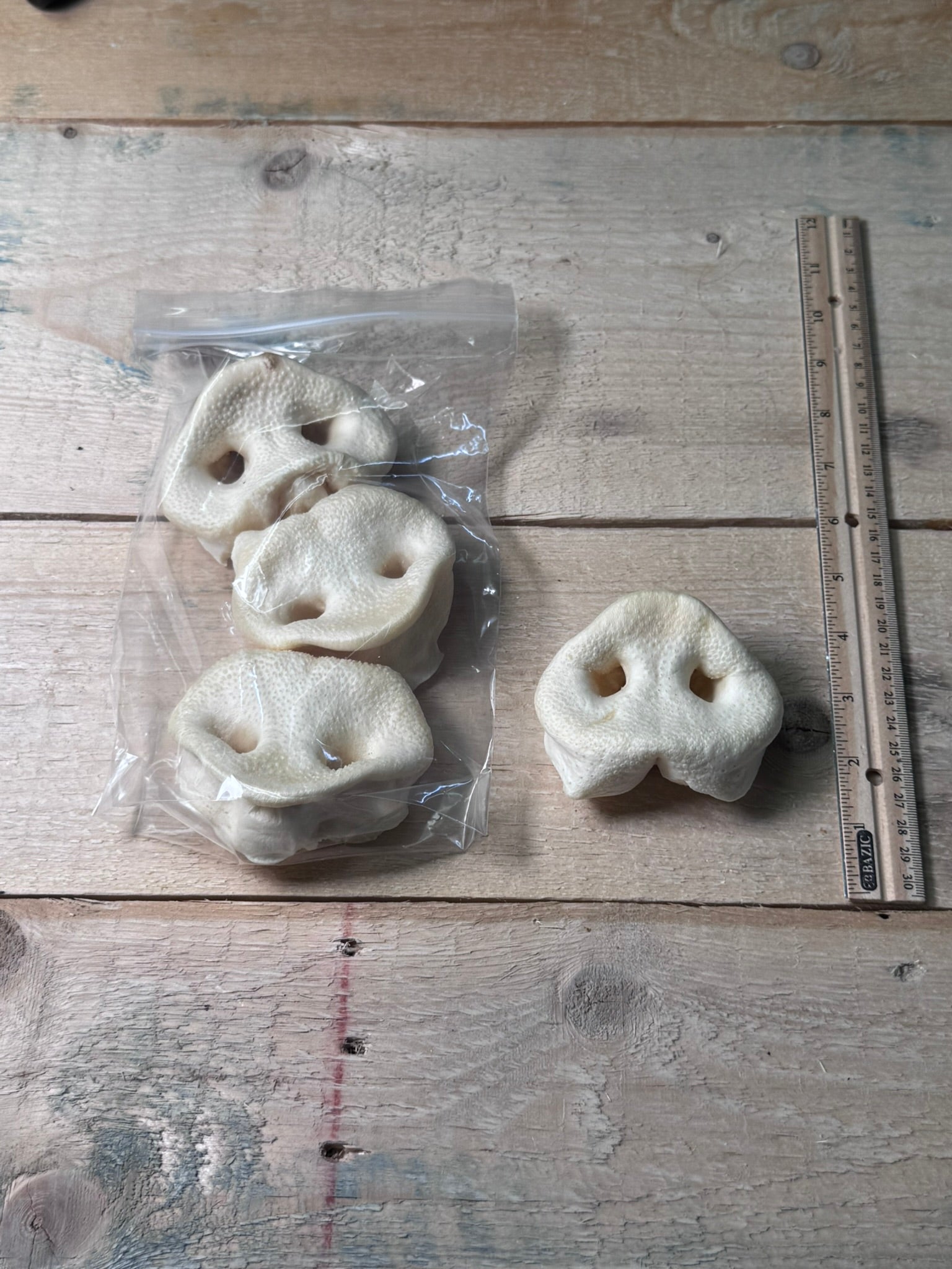 Pig Snouts - 3 Pack - Pasture Paws
