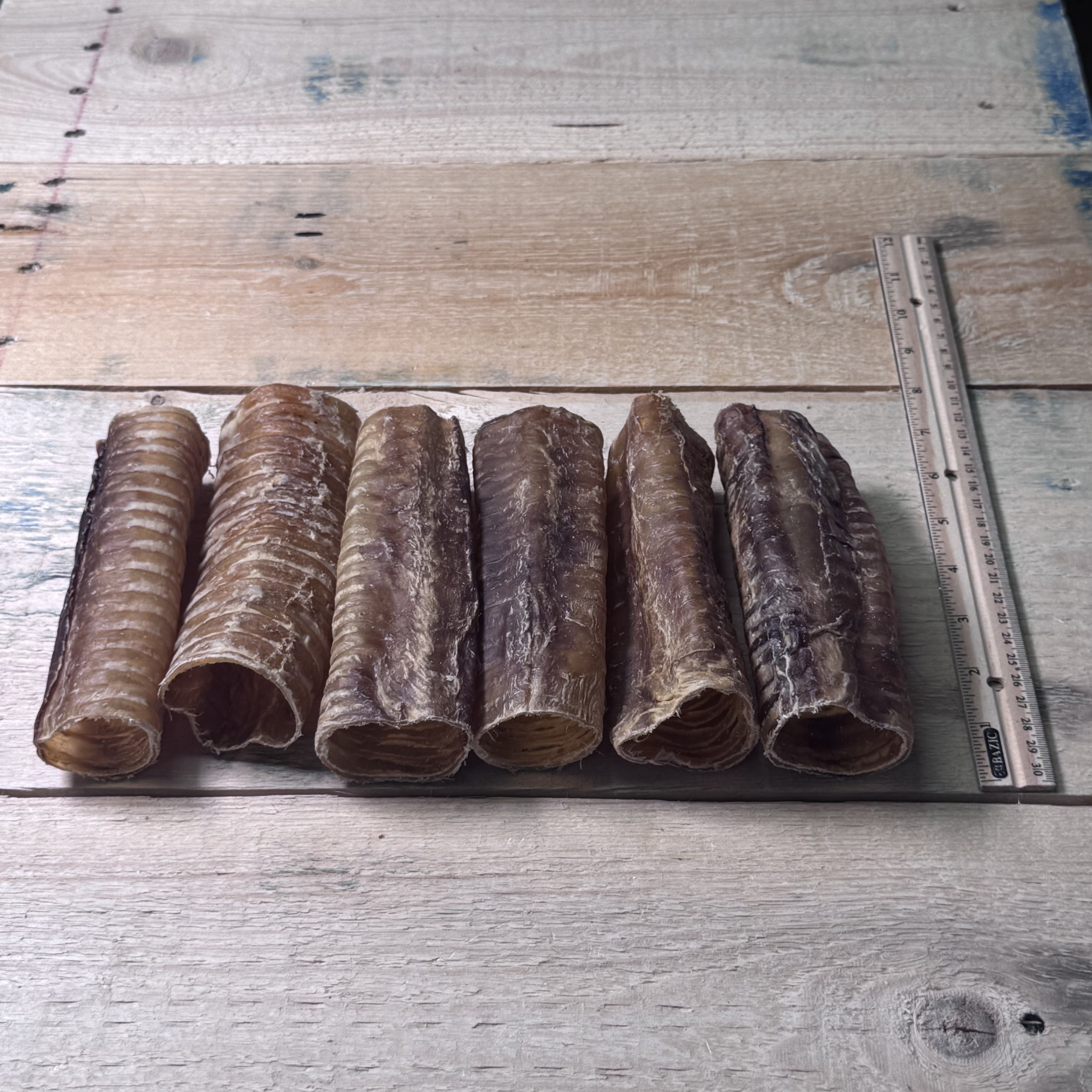 Beef Trachea Small 6" - 6 Pack - Pasture Paws