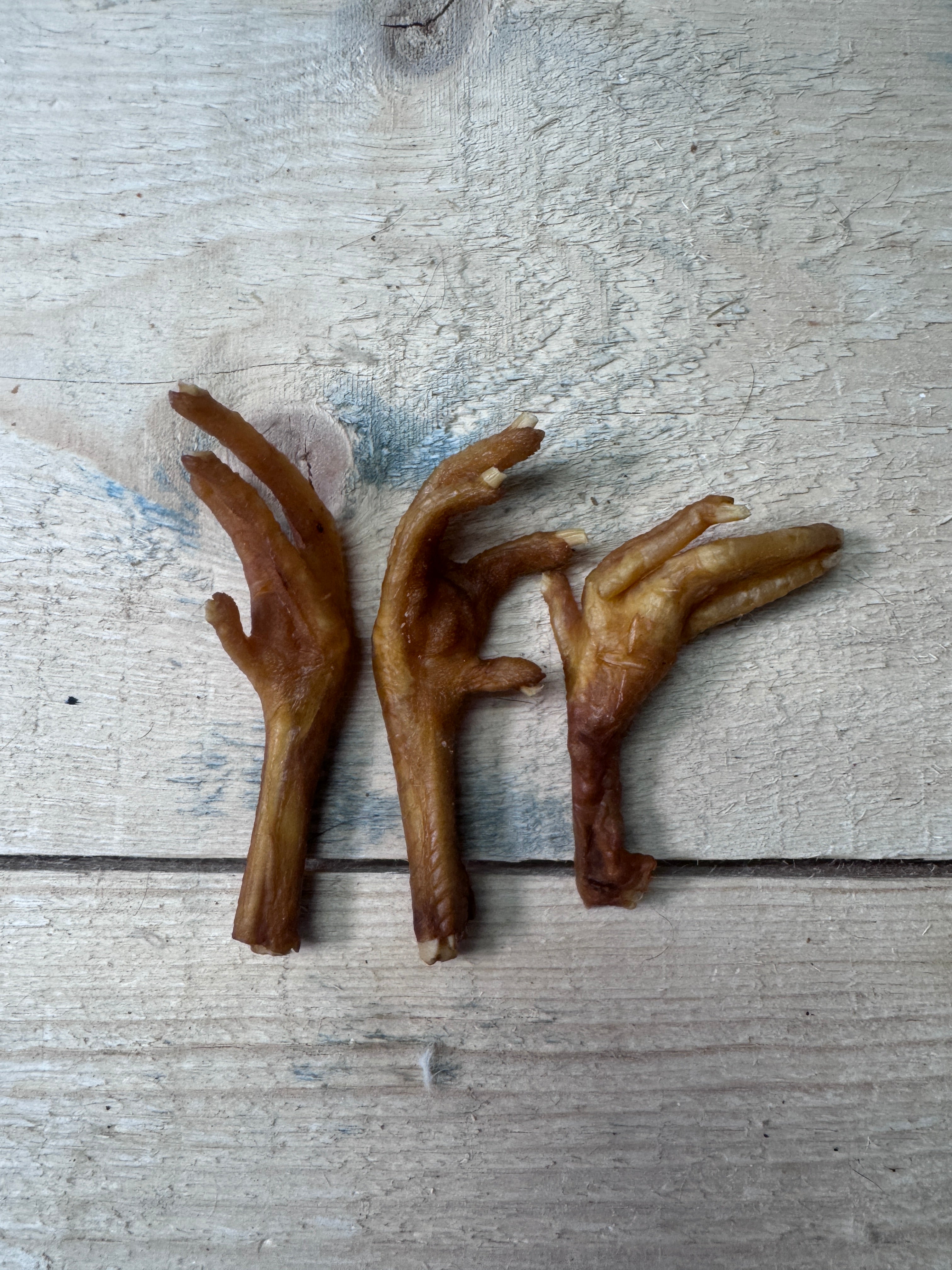 Chicken Feet 3 Pack - Pasture Paws