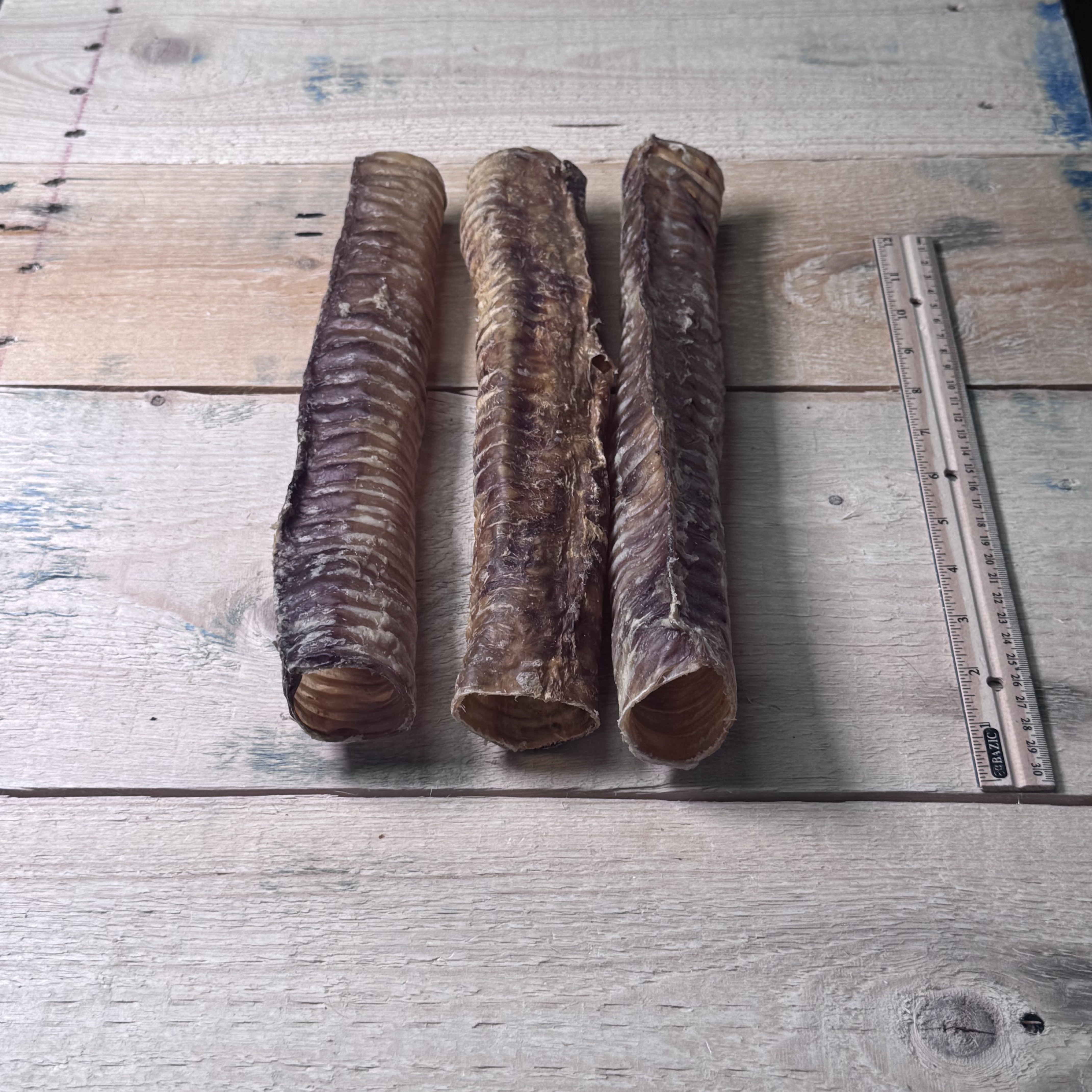 Beef Trachea Large 12" - 3 Pack - Pasture Paws