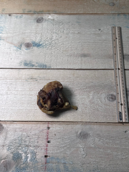 Beef Knee Cap - Single - Pasture Paws
