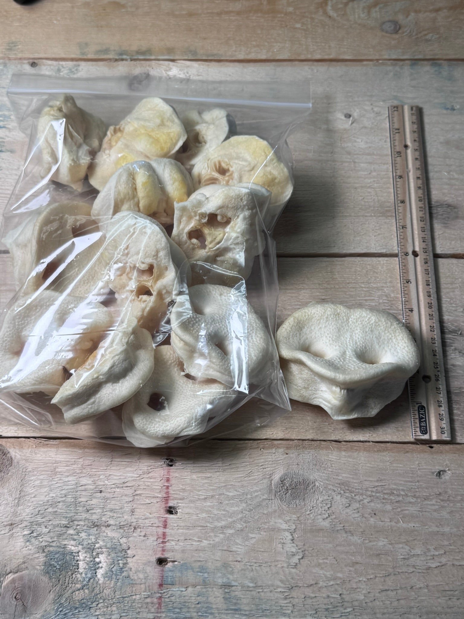 Pig Snouts - 12 Pack - Pasture Paws
