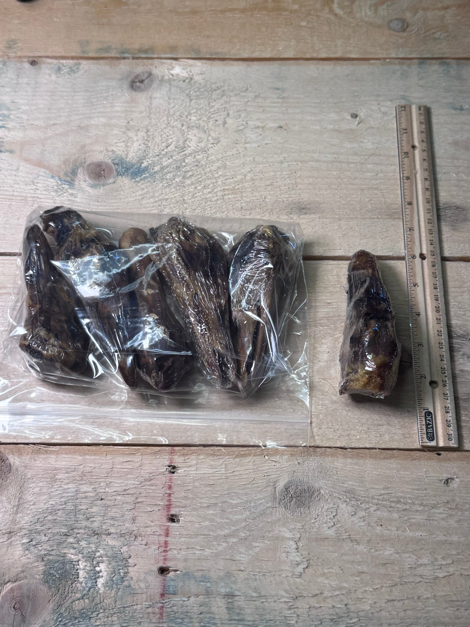 Duck Heads - 5 Pack - Pasture Paws