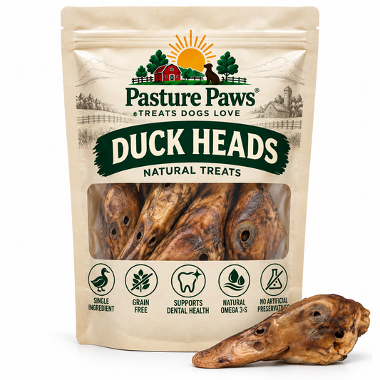 Duck Head