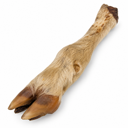 Hairy Lamb Feet