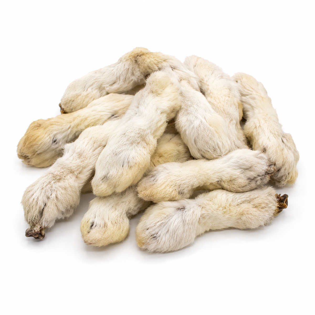 Hairy Rabbit Feet
