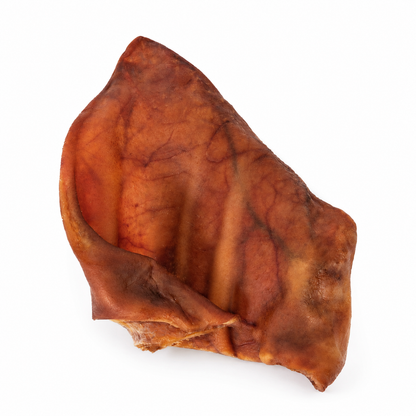 A single dried pig ear for dogs on a white background