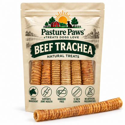 Beef Trachea 12"