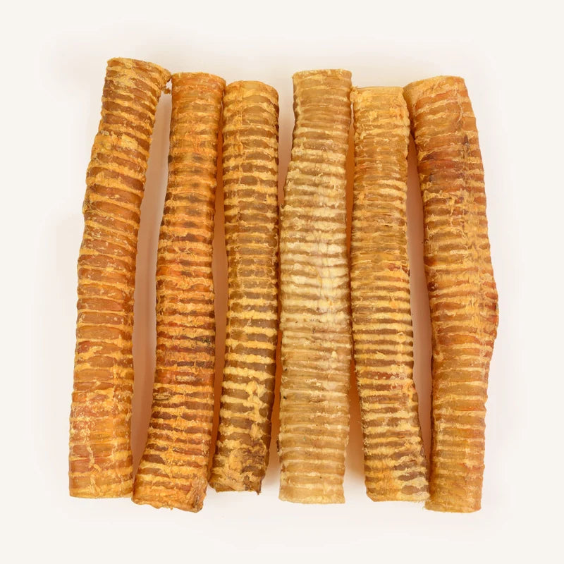 Beef Trachea 12"