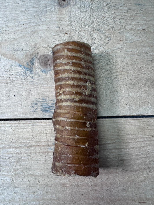 Beef Trachea 6"