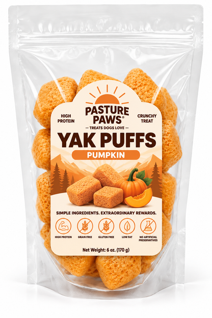 Yak Puffs - Pumpkin